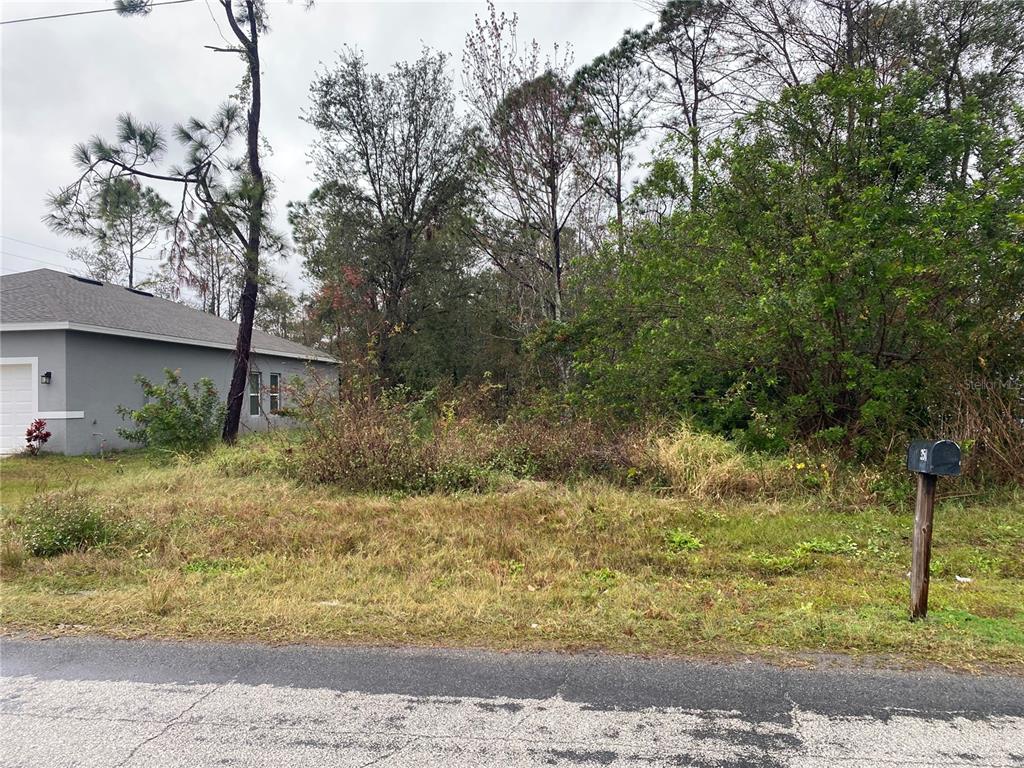 Clermont Drive Kissimmee, FL 34759 - Photo 3 of 6 a backyard of a house with lots of green space