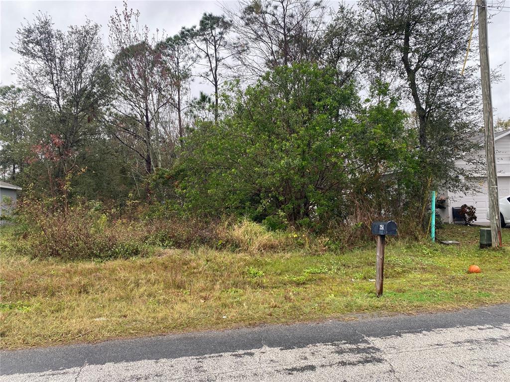Clermont Drive Kissimmee, FL 34759 - Photo 4 of 6 a backyard of a house