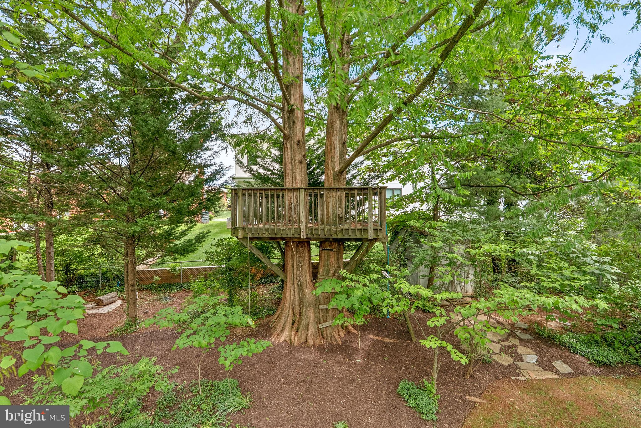 8707 Ridge Road Bethesda, MD 20817 - Photo 5 of 70 Tree house for teens, tweens and adults to play!