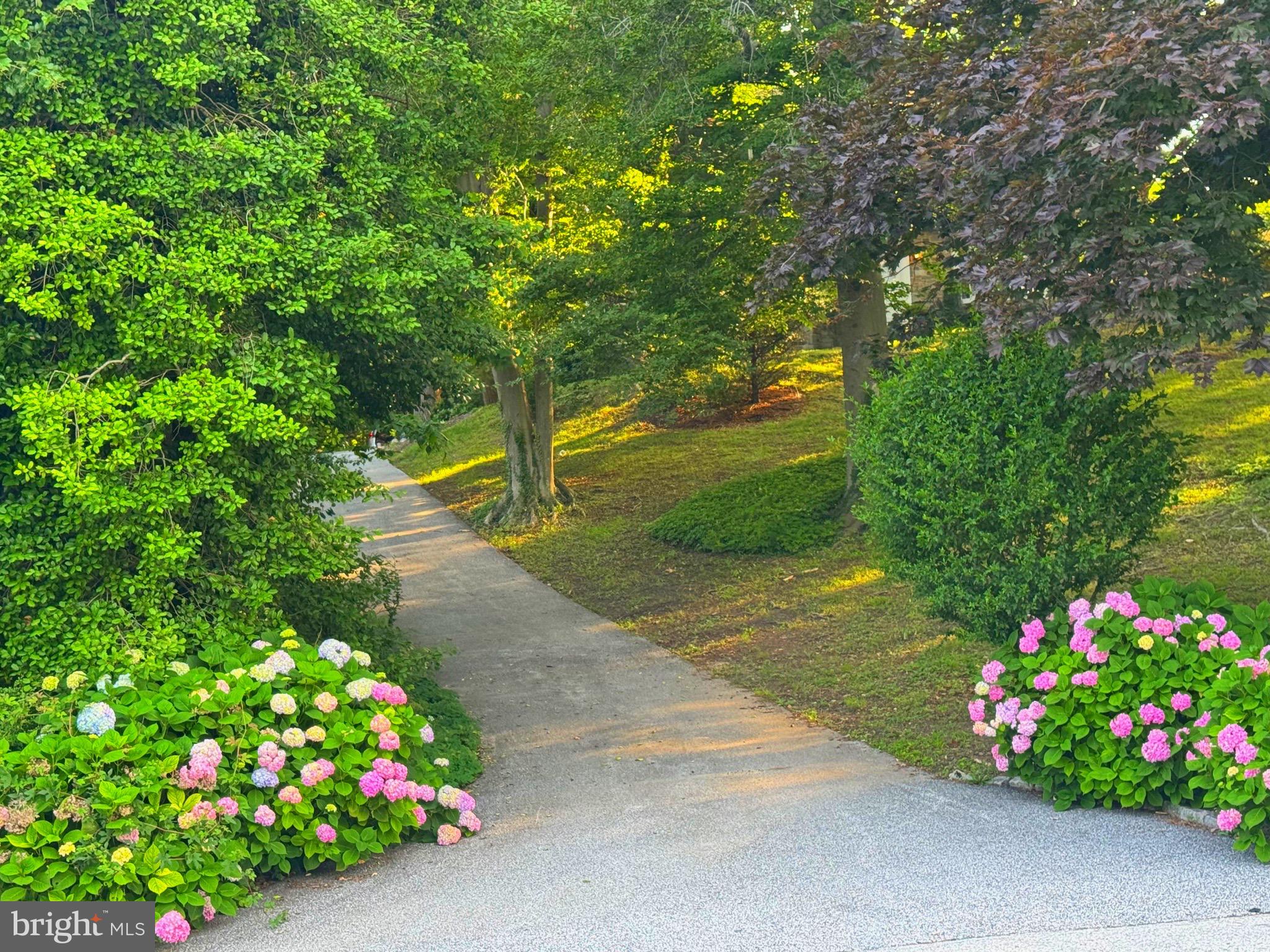 701 Hillen Road Towson, MD 21286 - Photo 1 of 80 Romantic Entrance