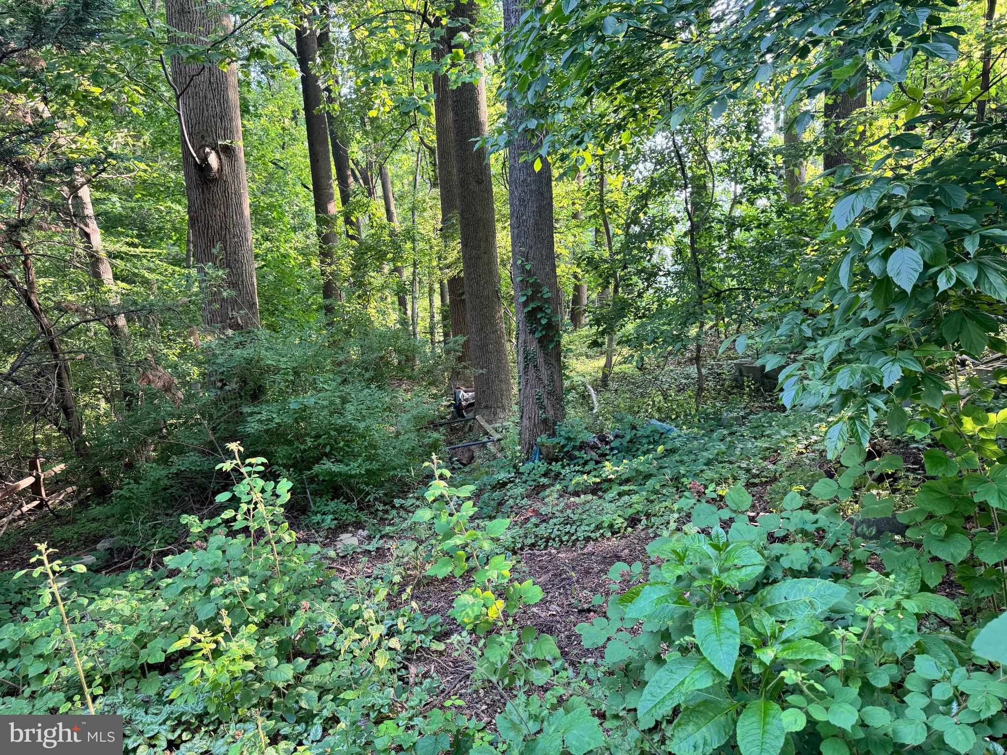 701 Hillen Road Towson, MD 21286 - Photo 78 of 80