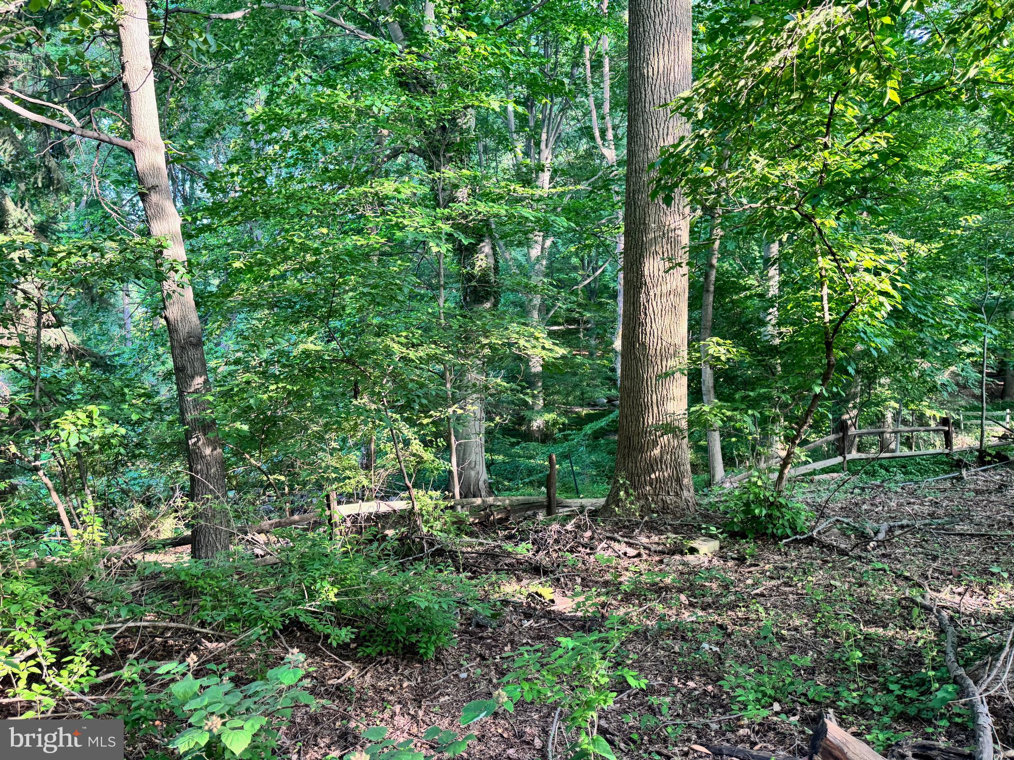 701 Hillen Road Towson, MD 21286 - Photo 79 of 80