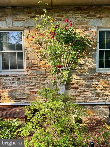 a view of a livingroom with furniture and a potted plant