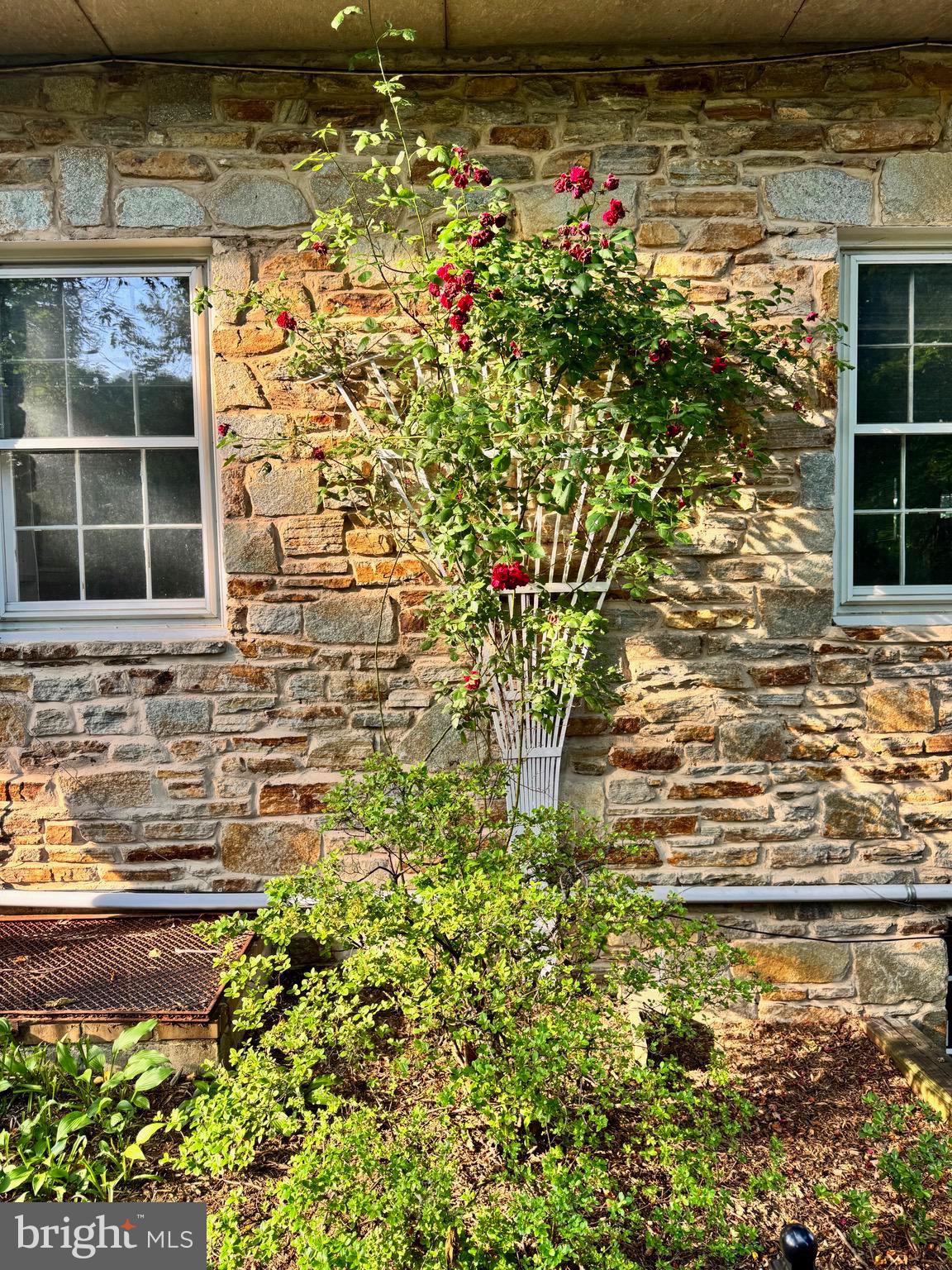 701 Hillen Road Towson, MD 21286 - Photo 8 of 80