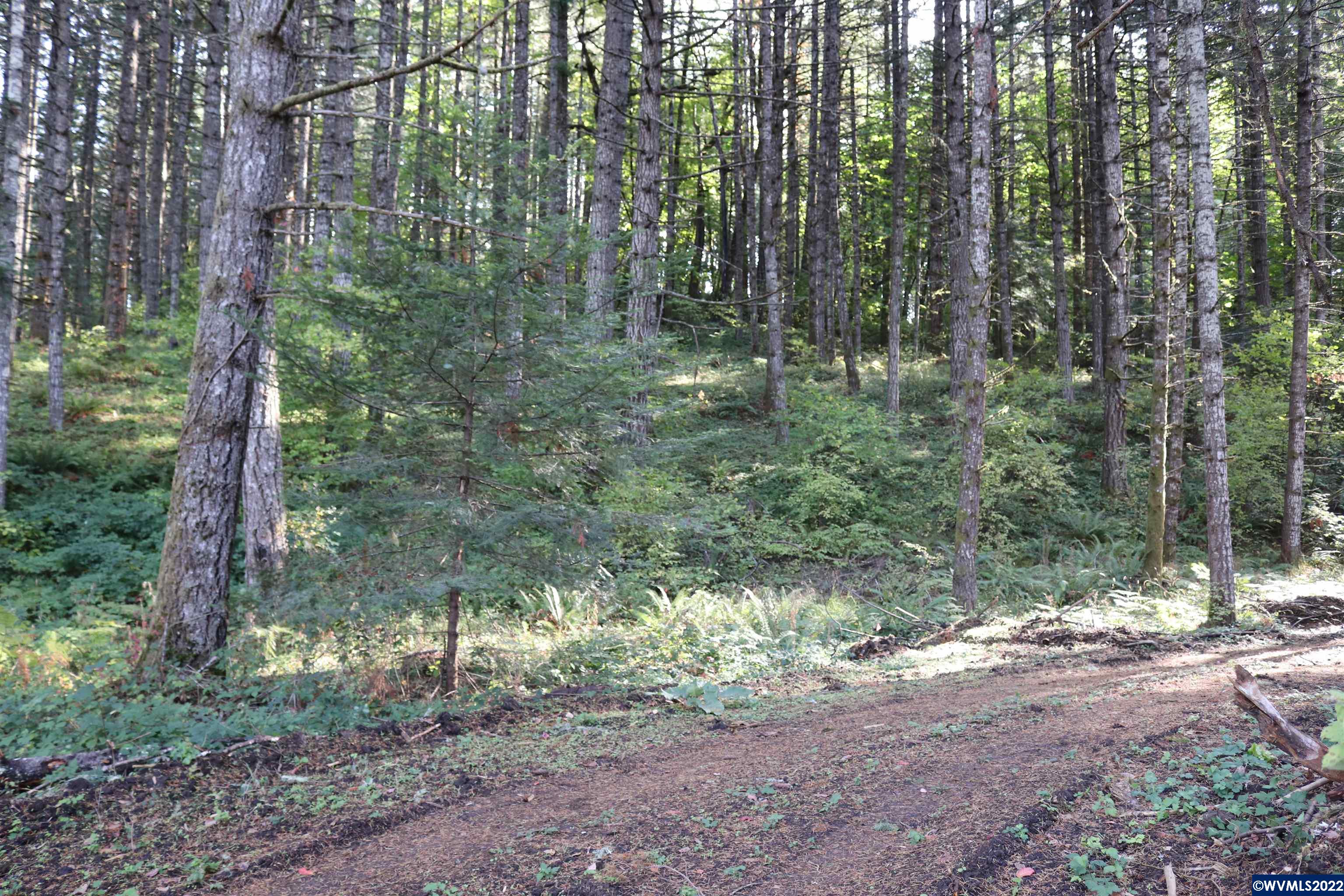 1883 Pioneer Road Dallas, OR 97338 - Photo 9 of 10 a view of forest