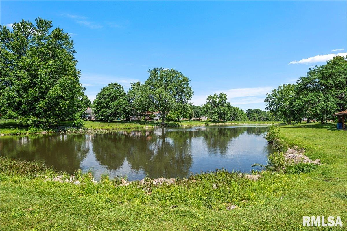2905 Ontario Drive Springfield, IL 62707 - Photo 42 of 43