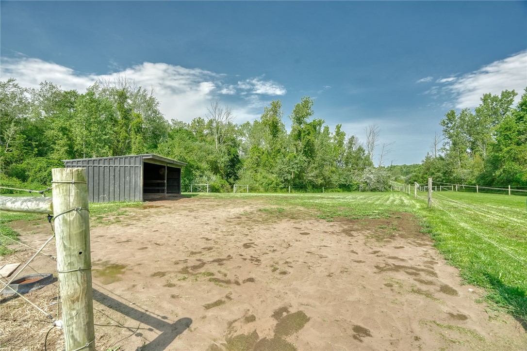 784 Hamlin Center Road Hamlin, NY 14464 - Photo 37 of 49 Gallery Image 37