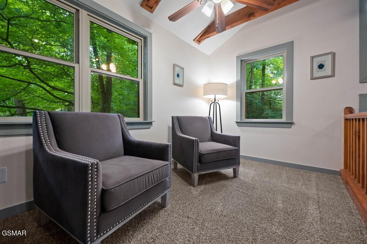 438 Laurel Road Townsend, TN 37882 - Photo 16 of 31 Gallery Image 16