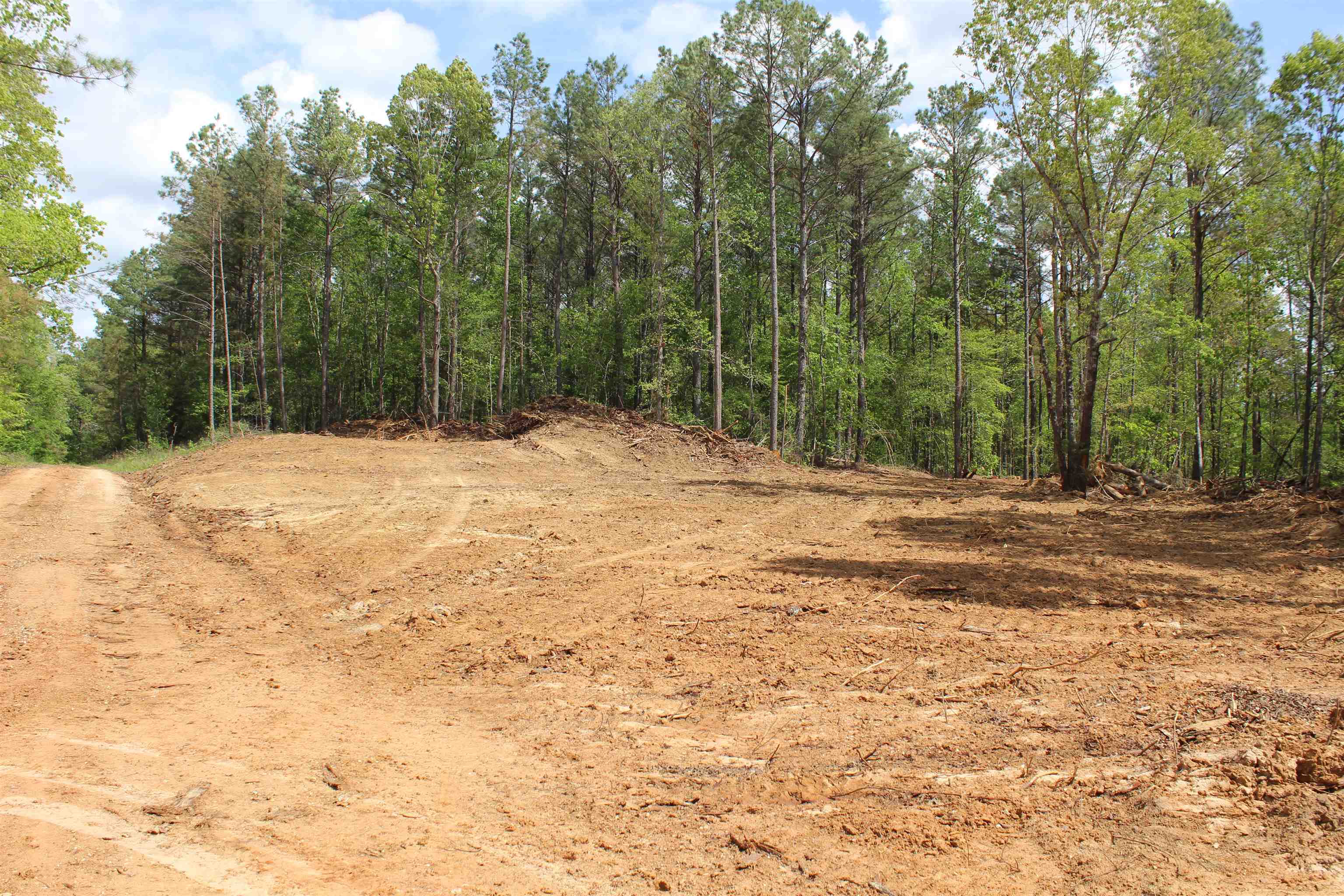 0 Maroney Road Medon, TN 38356 - Photo 25 of 37 Gallery Image 25
