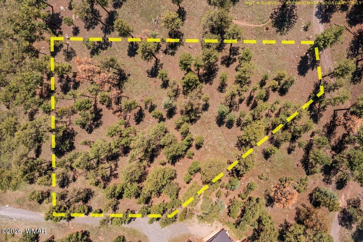 14 County Rd N1062 Greer, AZ 85927 - Photo 15 of 15 Gallery Image 15
