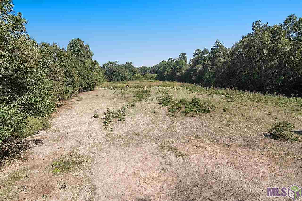 33160 Clinton Allen Road Denham Springs, LA 70706 - Photo 10 of 10