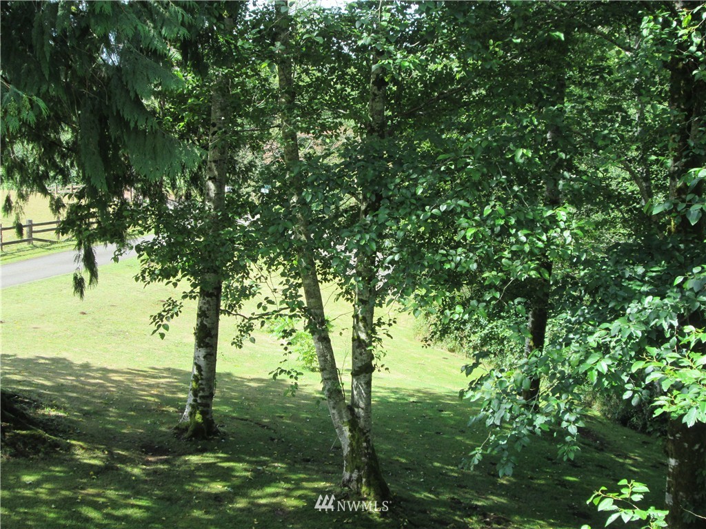 111 Stillson Road McCleary, WA 98557 - Photo 13 of 19 Gallery Image 13