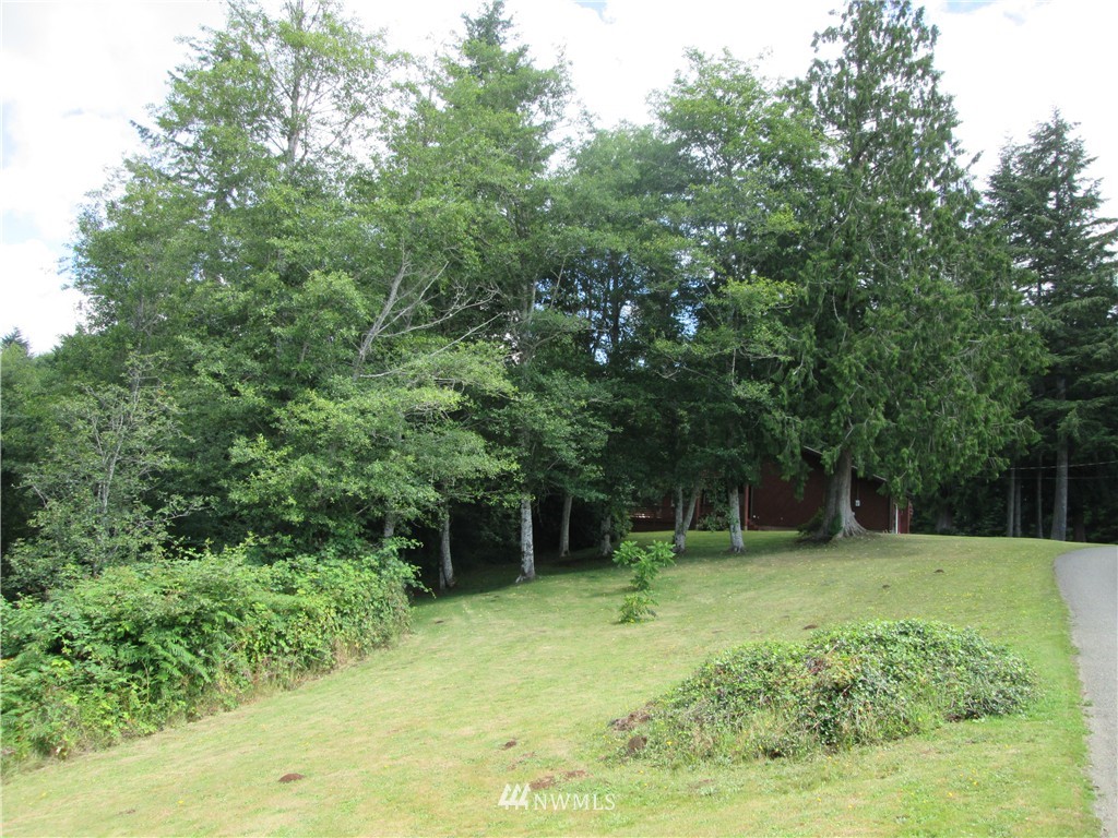 111 Stillson Road McCleary, WA 98557 - Photo 14 of 19 Gallery Image 14