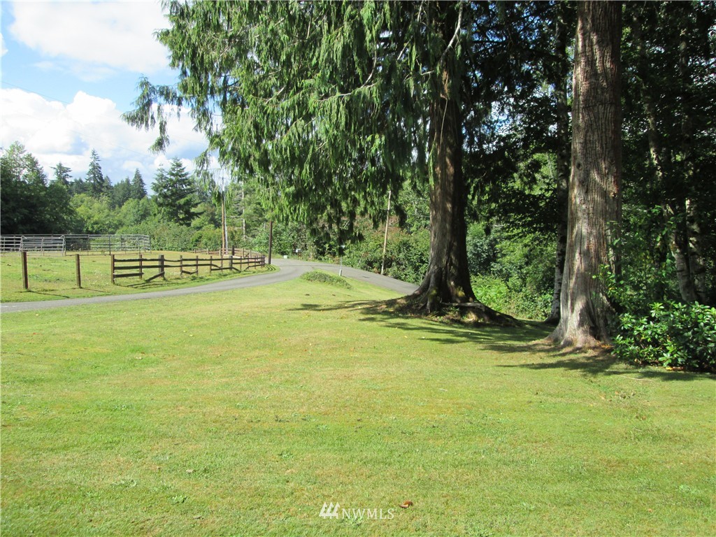 111 Stillson Road McCleary, WA 98557 - Photo 16 of 19 Gallery Image 16
