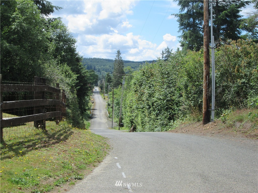 111 Stillson Road McCleary, WA 98557 - Photo 18 of 19 Gallery Image 18