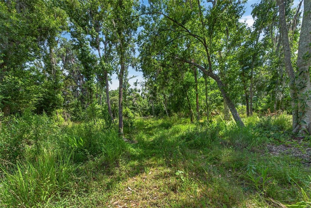 672 Highway Lithia Lithia, FL 33547 - Photo 18 of 24