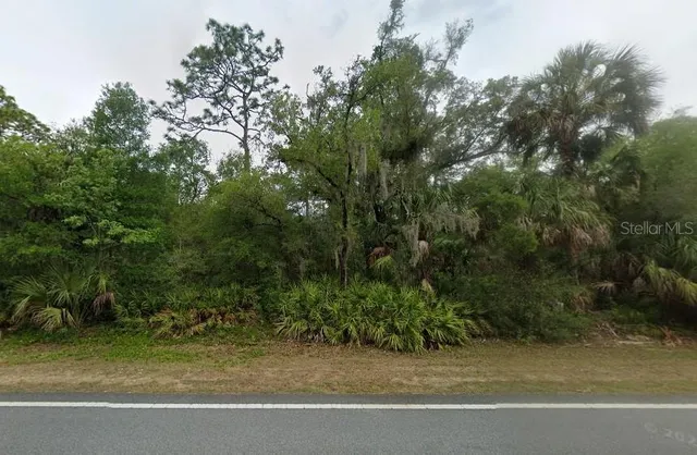 a view of a yard with a tree