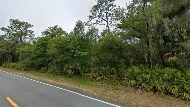 a view of a yard with a tree