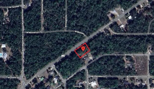 a street sign that is on a red tree