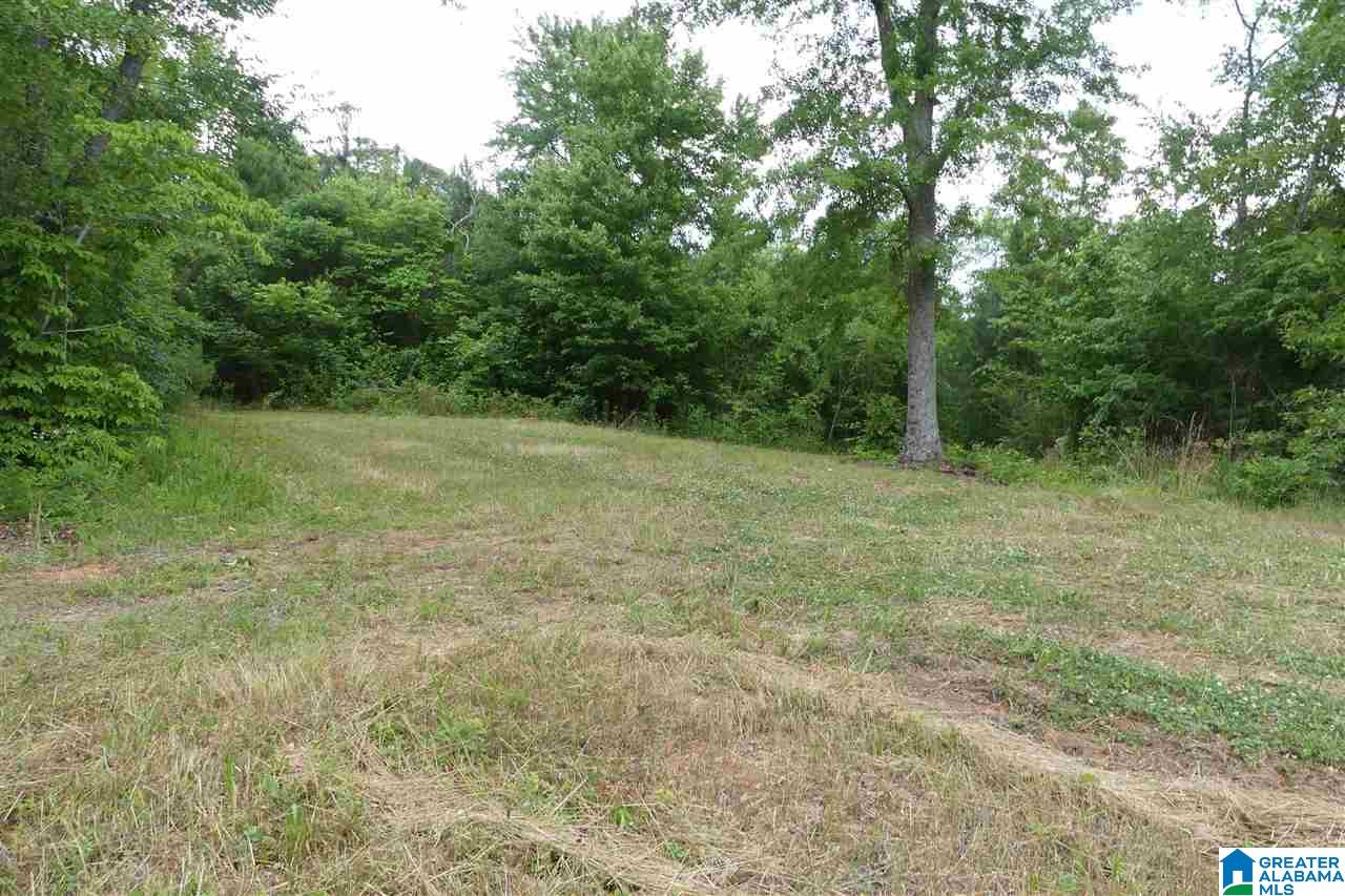 3036 County Road 7 Wedowee, AL 36278 - Photo 7 of 17