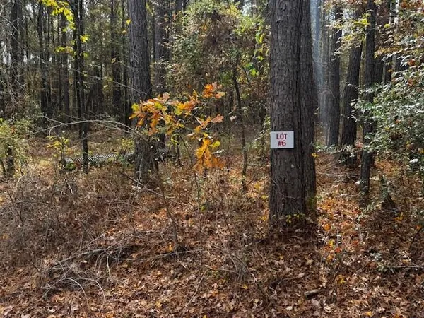 a picture of trees