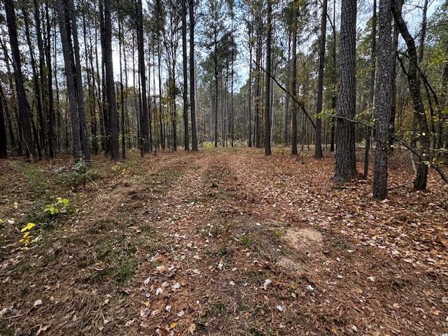 0 Oliver Road Haughton, LA 71037 - Photo 3 of 10 a big yard with lots of green space and trees