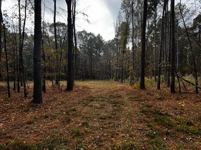 0 Oliver Road Haughton, LA 71037 - Photo 4 of 10 a view of outdoor space with trees