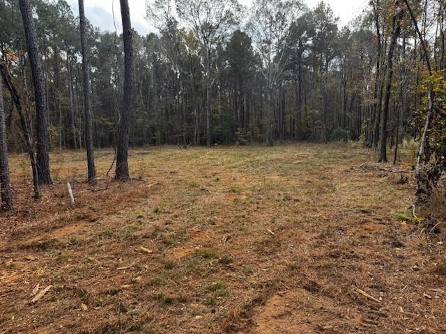 0 Oliver Road Haughton, LA 71037 - Photo 5 of 10 a view of backyard with tree