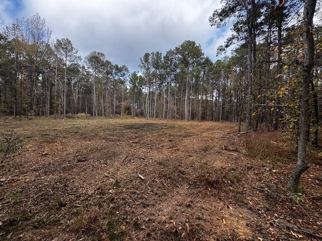 0 Oliver Road Haughton, LA 71037 - Photo 9 of 10 a view of backyard with green space