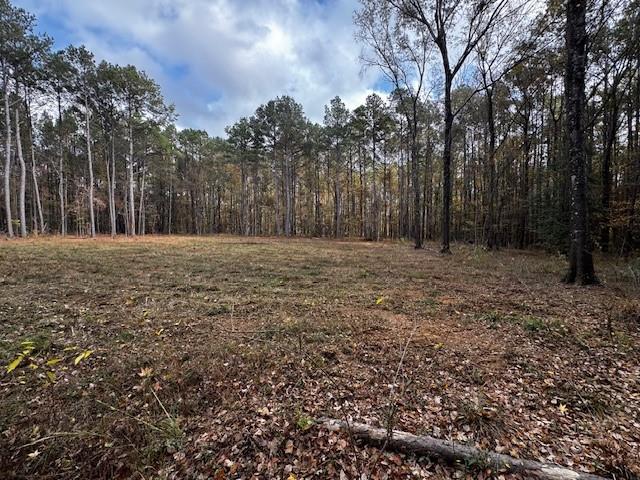 0 Oliver Road Haughton, LA 71037 - Photo 10 of 10 a big yard with trees