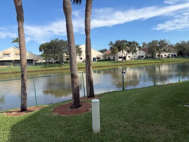 a view of a yard with palm trees