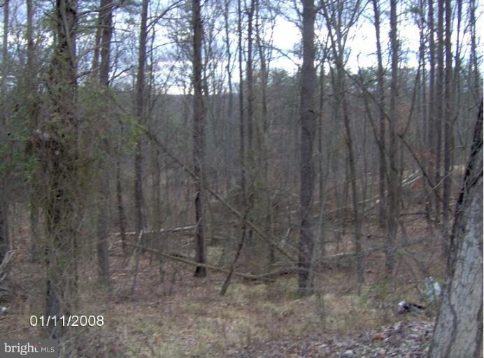 Wapping Farm Road Linden, VA 22642 - Photo 1 of 1 Exterior (Front)