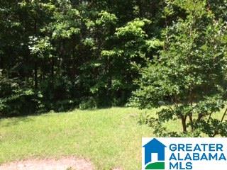 Tract Ii Pine Mountain Road, Unit TRACT II Remlap, AL 35133 - Photo 1 of 3