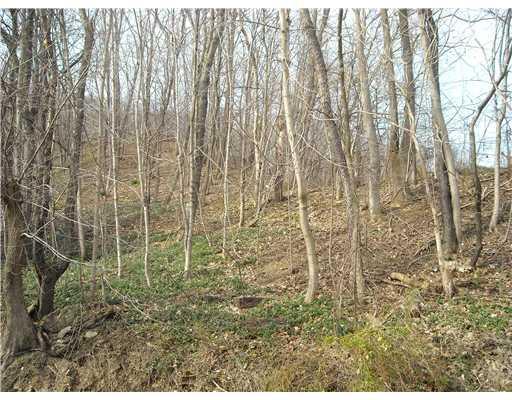100 College Avenue McKees Rocks, PA 15136 - Photo 16 of 17 View. Wooded area next to property