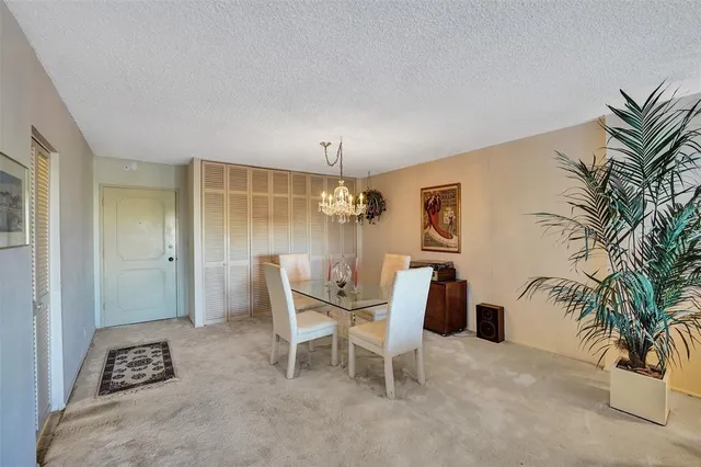 a view of a garden with plants and a bench