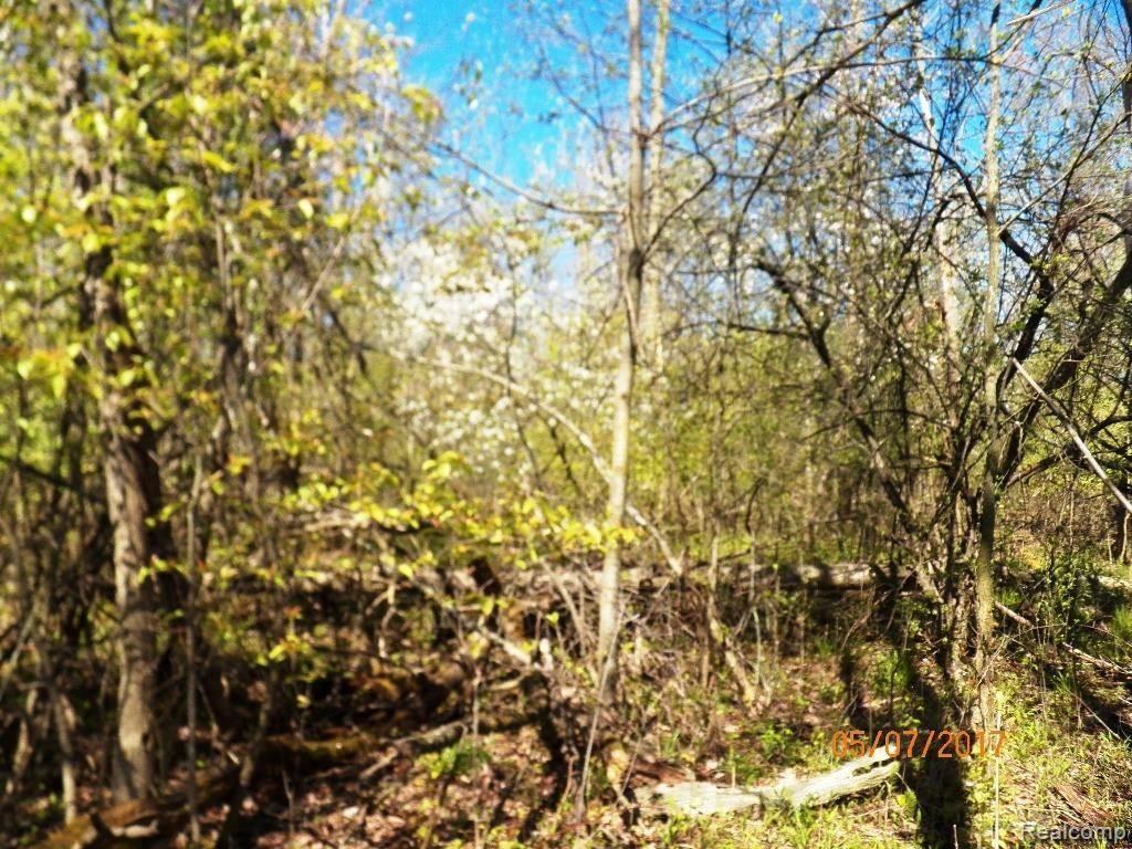 0 Connell Road Emmett, MI 48022 - Photo 15 of 16