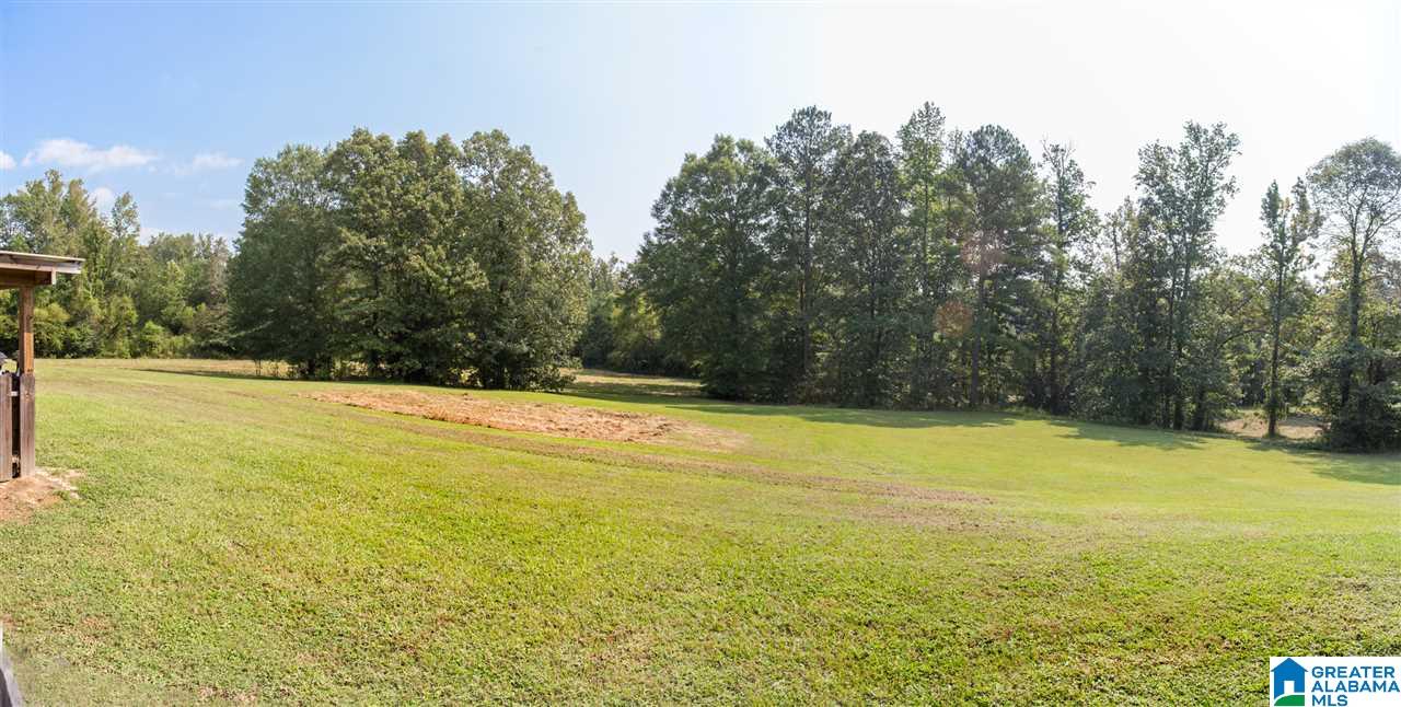 99 Crawfish Lane Ragland, AL 35131 - Photo 39 of 45