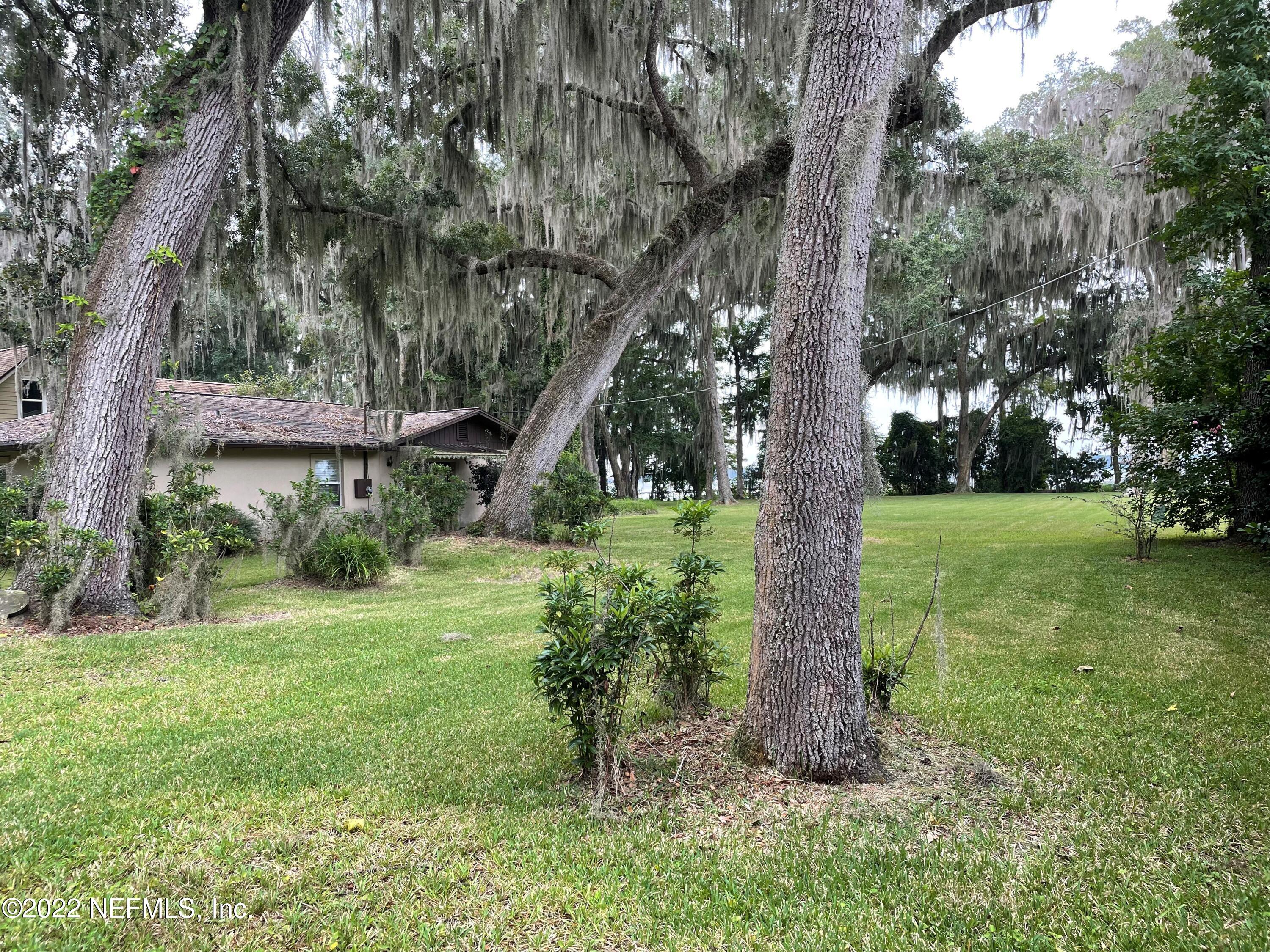 8317 Colee Cove Road St. Augustine, FL 32092 - Photo 1 of 9 a view of a garden with a tree