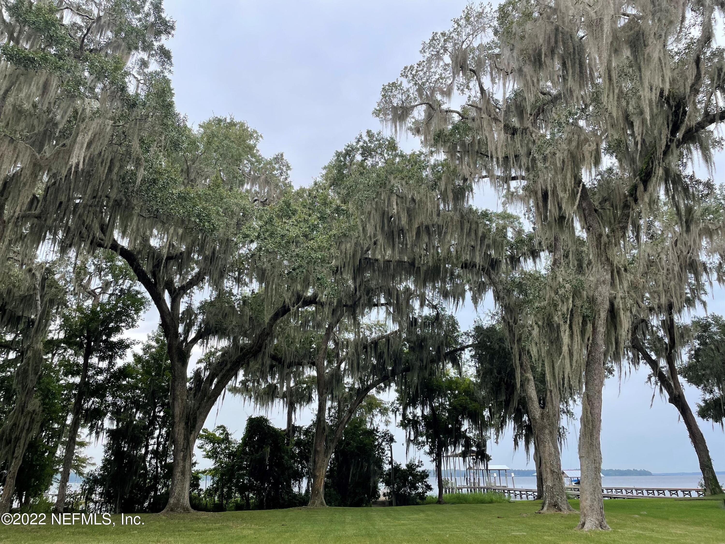 8317 Colee Cove Road St. Augustine, FL 32092 - Photo 5 of 9 a view of green field