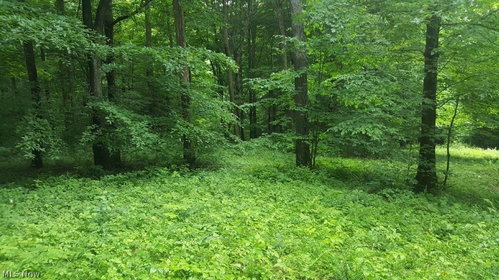 5846 Holmes Church Road Northeast New Philadelphia, OH 44663 - Photo 4 of 34