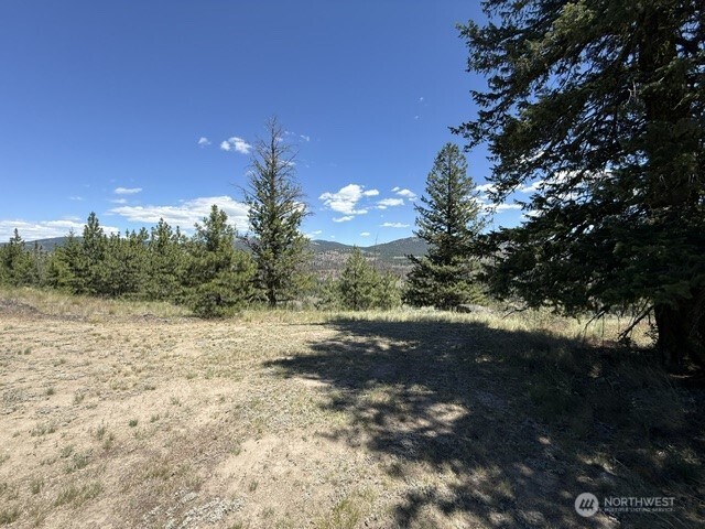 132 West Cayuse Mountain Road Tonasket, WA 98855 - Photo 24 of 29