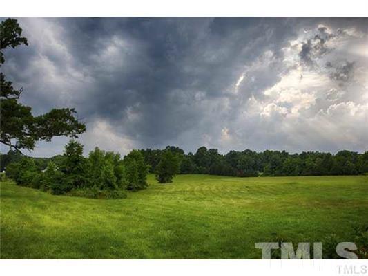 9123 South Lowell Road Bahama, NC 27503 - Photo 2 of 25 a view of a garden