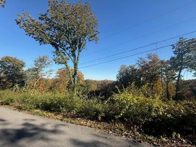 $85,000 | Lot 202 Stuart Terrace, Chattanooga, TN 37415