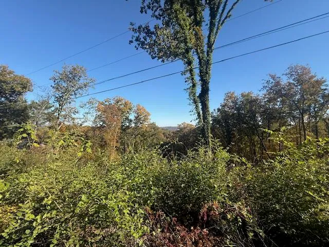 $85,000 | Lot 202 Stuart Terrace, Chattanooga, TN 37415