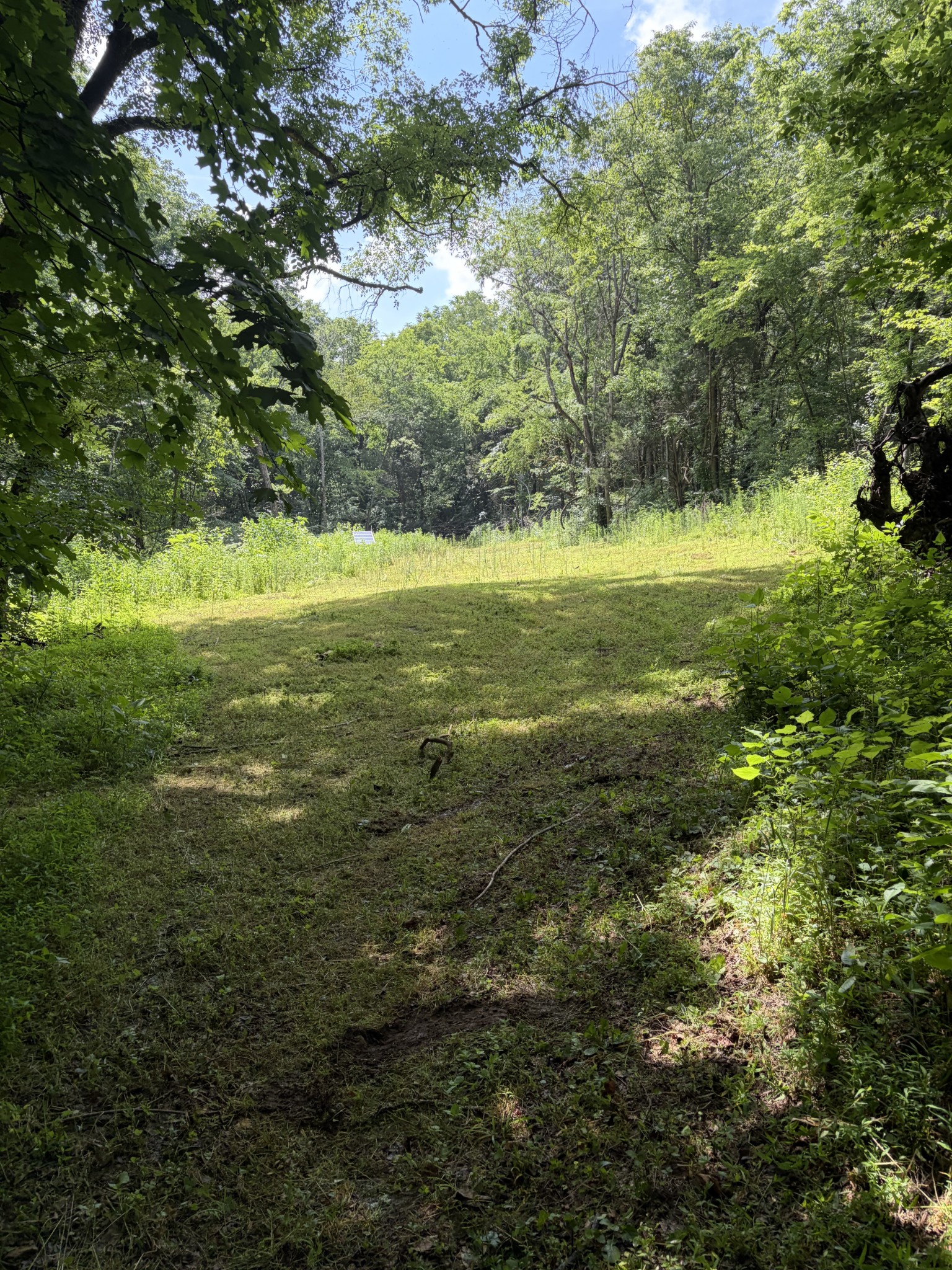 0 Kelso-Smithland Road Kelso, TN 37348 - Photo 24 of 45 a view of a trees with yard