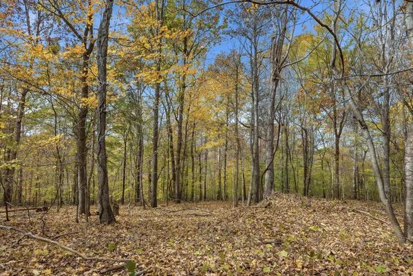 a view of city and mountain