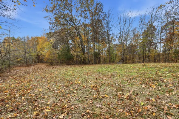 $850,000 | 0 Vaughn Lane, Indian Mound, TN 37079