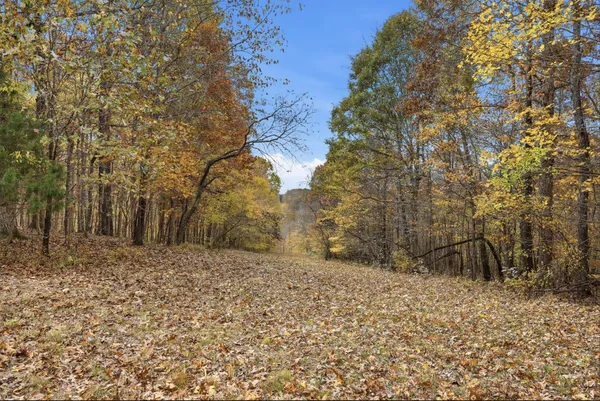 $850,000 | 0 Vaughn Lane, Indian Mound, TN 37079