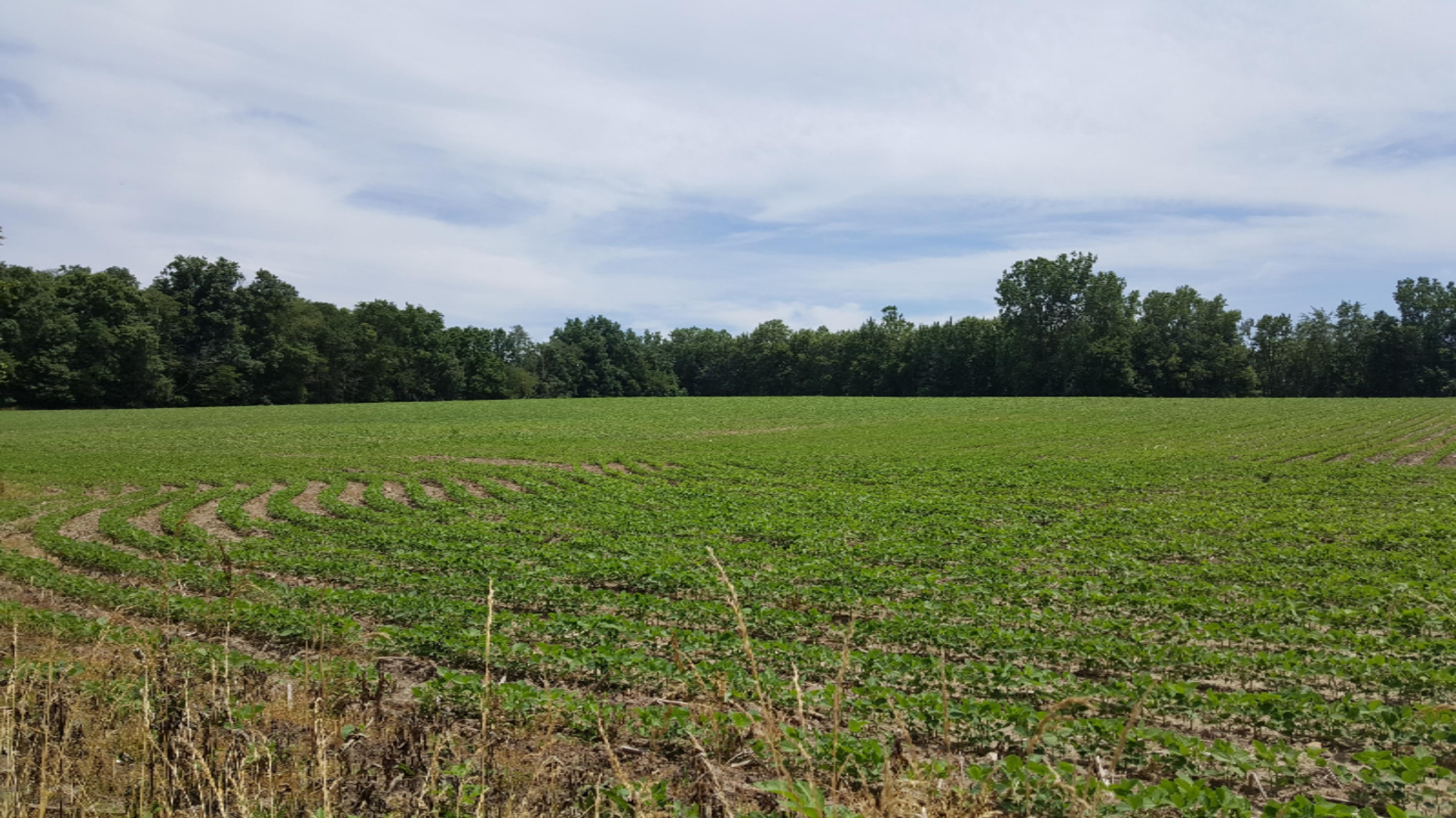 0 West Union City Road Union City, MI 49094 - Photo 3 of 3 14992811241391154543788