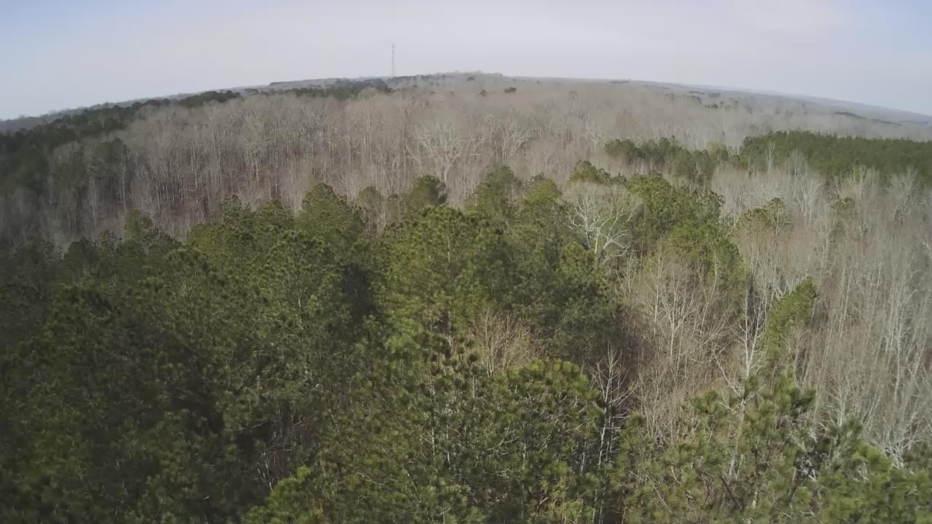 213 Lavista Road Jefferson, GA 30549 - Photo 22 of 54 2026021011494041.jpg